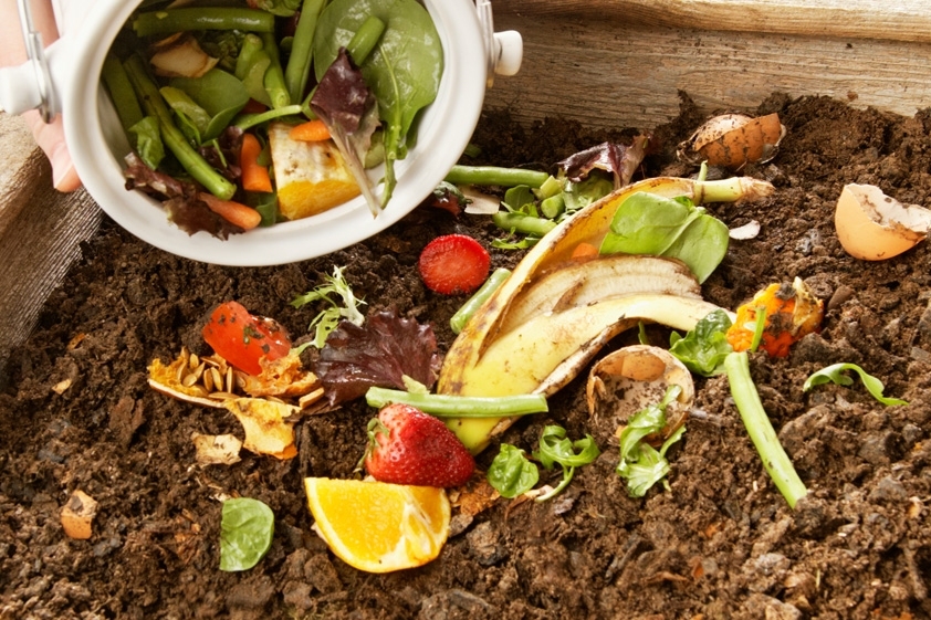 Food Waste Disposal New outlet