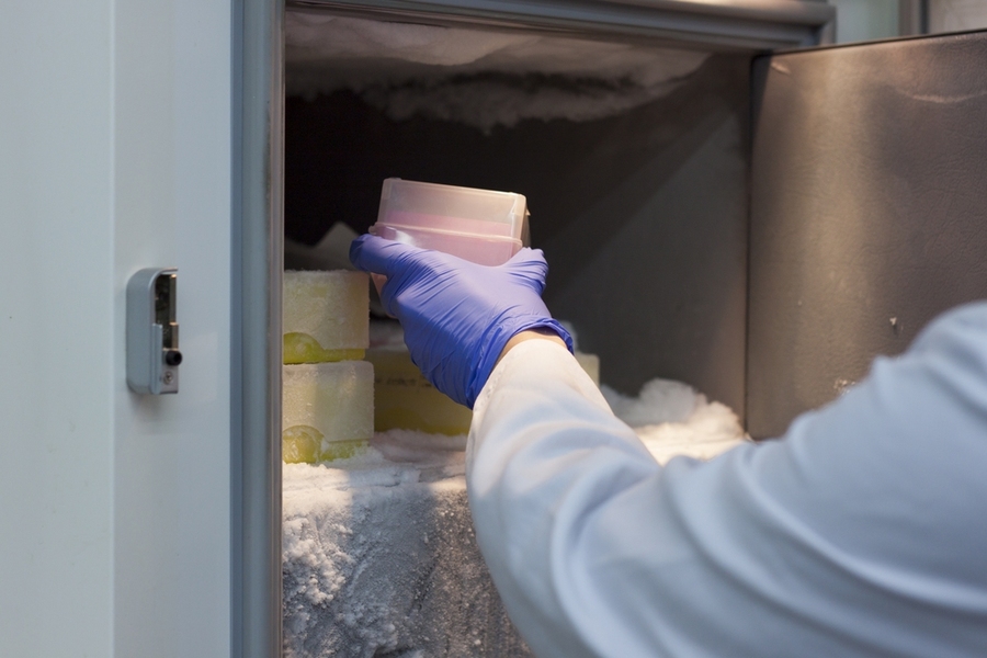 Putting the freeze on lab energy waste | MIT News | Massachusetts ...