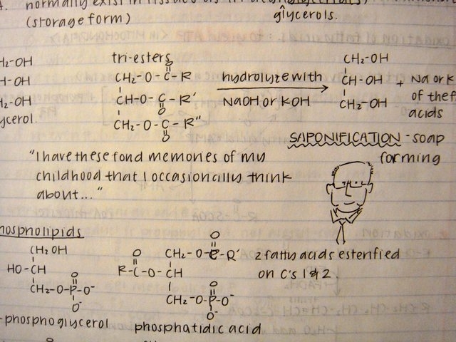 Notes from a student in one of Brown's lectures in Introductory Biochemistry