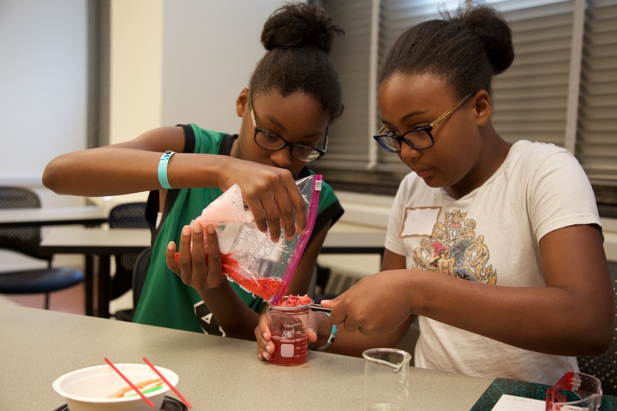 The girls strain out a mixture of strawberries, soap, water, and salt in order to extract out the strawberry's DNA at the Biology in Plants Experiment Station.