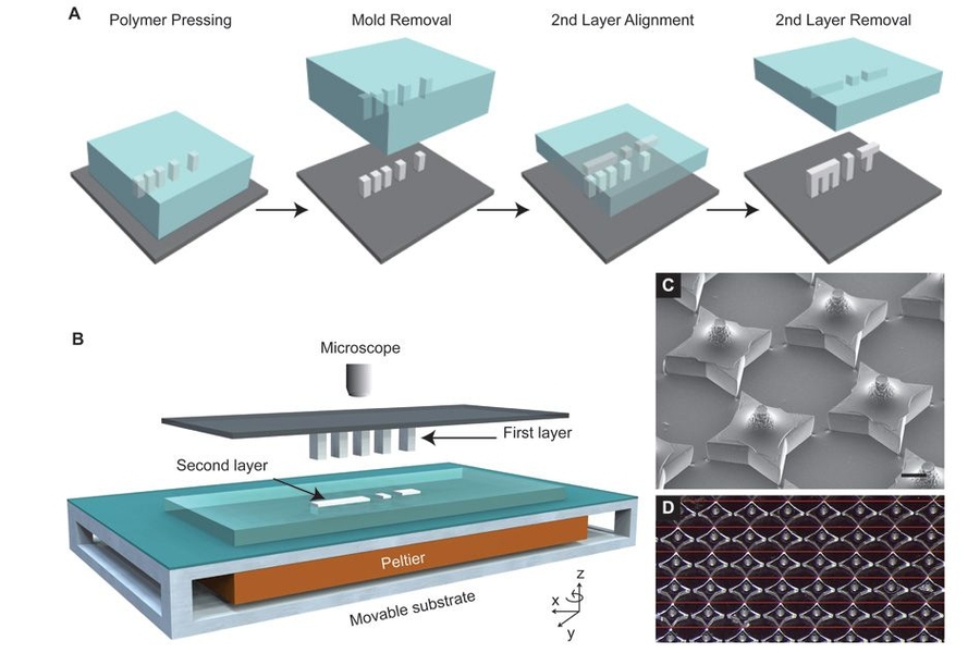 Microstructures are fabricated by pressing and heating polymer into a patterned PDMS base mold and delaminating these structures onto a substrate to create the first layer. A second layer is then formed using a similar molding process against a Teflon surface, which allows the features to remain in the PDMS mold after cooling. The second layer is aligned, placed into contact with the first layer, ...