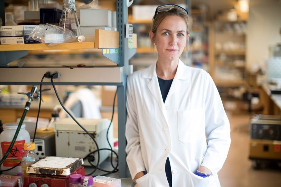 “Our prediction is that we might be able to identify risk for preterm birth ahead of time, before labor sets in,” says Katharina Ribbeck, an associate professor of biological engineering at MIT and the senior author of the study. “Diagnostic tools for this are missing.”