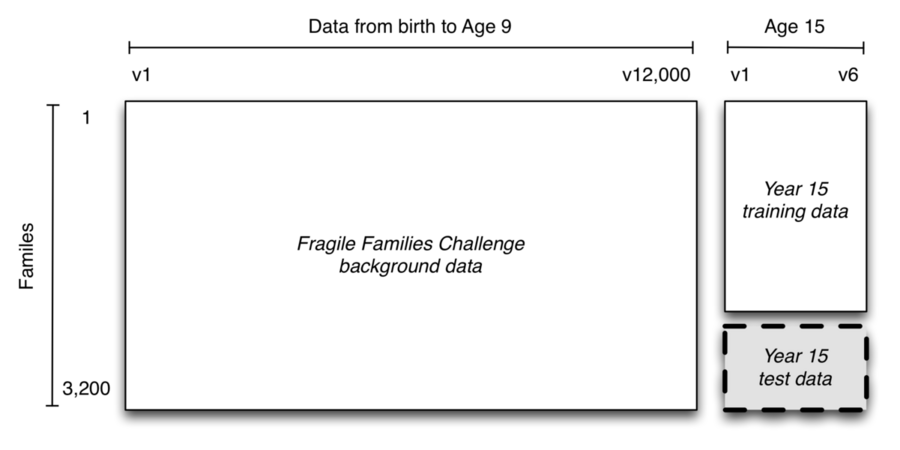 Schematic of the Fragile Families Challenge: Participants used the background data from birth to year 9 and some training data from year 15 to make inferences about six key outcomes in the year 15 test data.