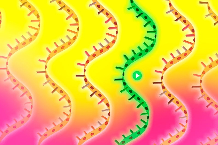 New Technique Scours The Genome For Genes That Combat Disease Mit News Massachusetts Institute Of Technology