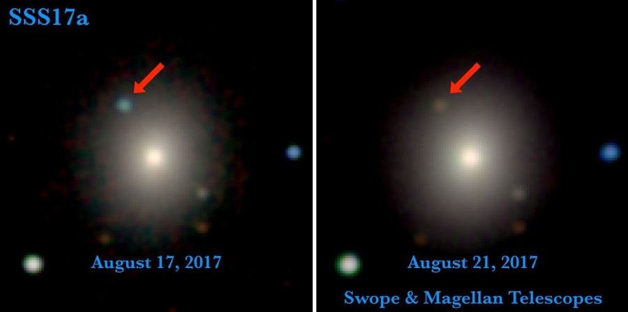 Heavy-element production in a compact object merger observed by