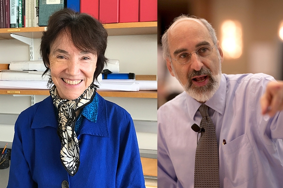 Dorothy Hosler and John D. Sterman have been elected as fellows of the American Association for the Advancement of Science (AAAS).
