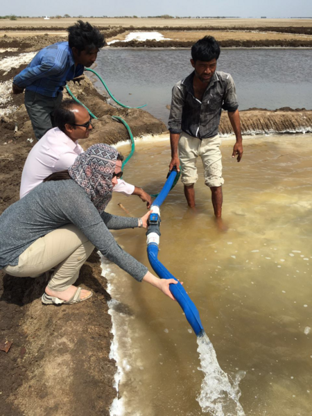 MIT researchers release evaluation of solar pumps for irrigation and salt  mining in India, MIT News