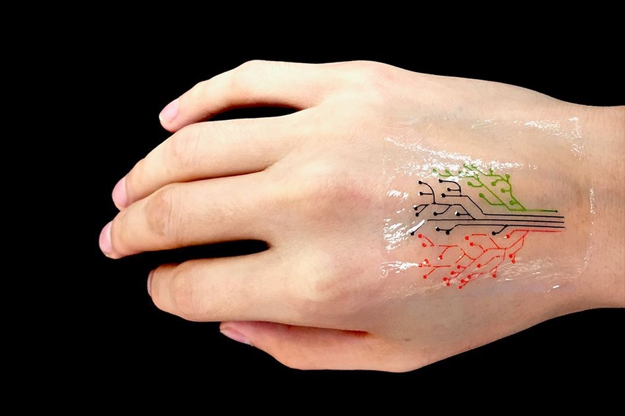 3Dprinted living tattoo for chemical detection on human skin a The   Download Scientific Diagram