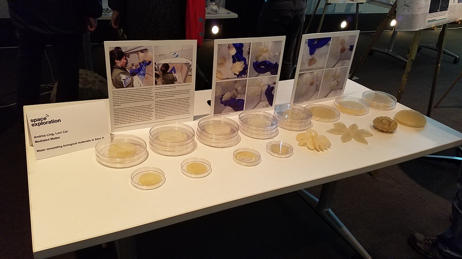 Water templating biological materials, one of the 14 projects executed on the flight.