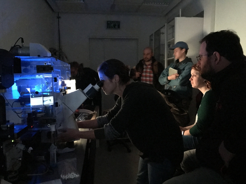 The group used a Super-Resolution Microscope to look at microbes.