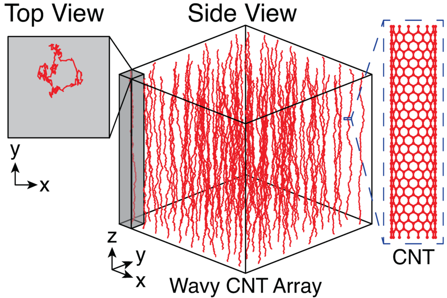 Aligned carbon nanotubes (CNTs) grown by chemical vapor deposition are typically wavy, as seen in side view at center of illustration, rather than straight, as illustrated in a single nanotube at right. They also settle into somewhat random patterns, as shown in box at upper left. Waviness reduces the stiffness of CNT arrays by up to 100,000 times, but their stiffness can be increased by densifyin...