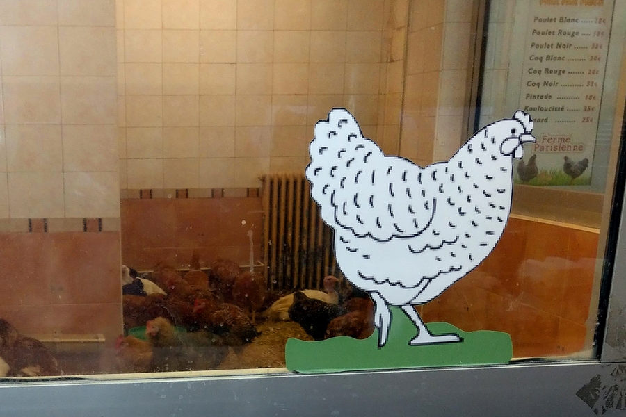 Led by expert local guides, the MIT students went into lesser-known residential and business neighborhoods, peeled back layers of history, and glimpsed behind-the-scenes views of workaday Paris. This charming sign is from a shop in the Goutte d'Or district. 