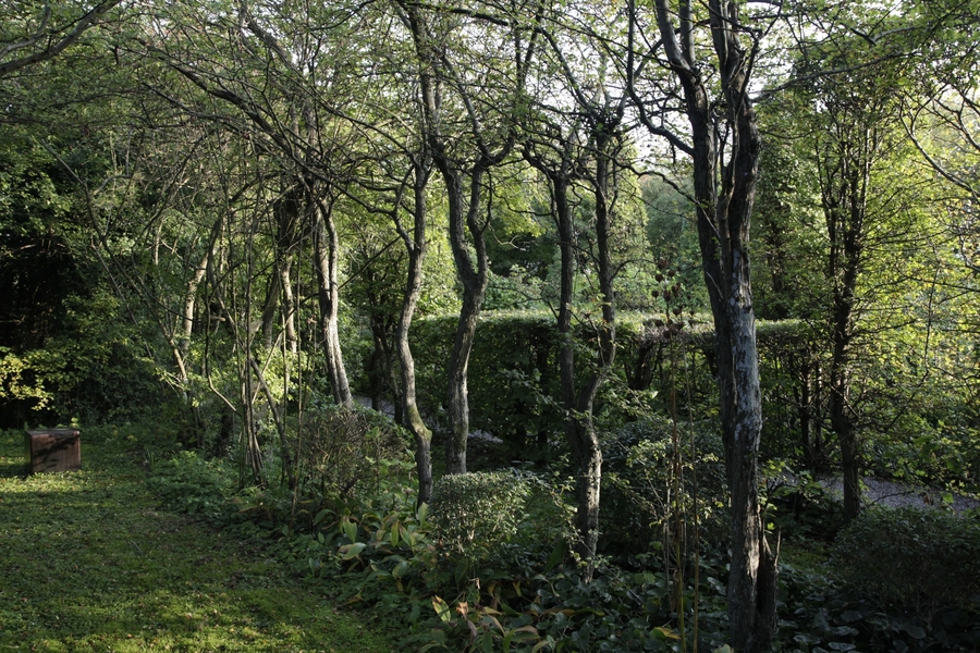 Interplay of light and textures