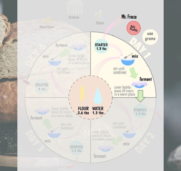 The Herman Project digitizes the longstanding tradition of sharing sourdough starters between friends. UROP student Lindsey McAllister designed the instruction wheel for the website.