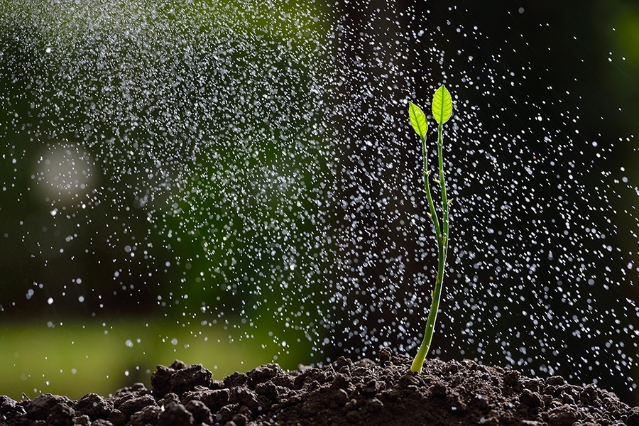 Seven new projects focusing on solutions to water and food systems challenges, led by 11 faculty principal investigators across five MIT departments, will be funded by the Abdul Latif Jameel World Water and Food Security Lab (J-WAFS) with two-year grants of up to $200,000.