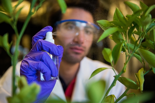 Maher Damak is a $15,000 Lemelson-MIT "Eat it!" graduate winner for his polymer additive for agricultural sprays.