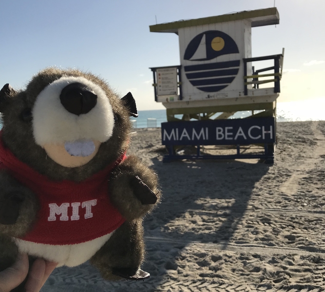 Tim the Beaver soaks in the sun.
