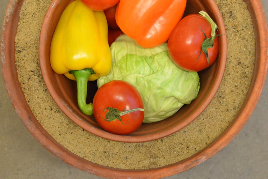 Vegetables are ready for storage in the kind of clay pot cooler best suited for use by individuals and small-scale farmers.