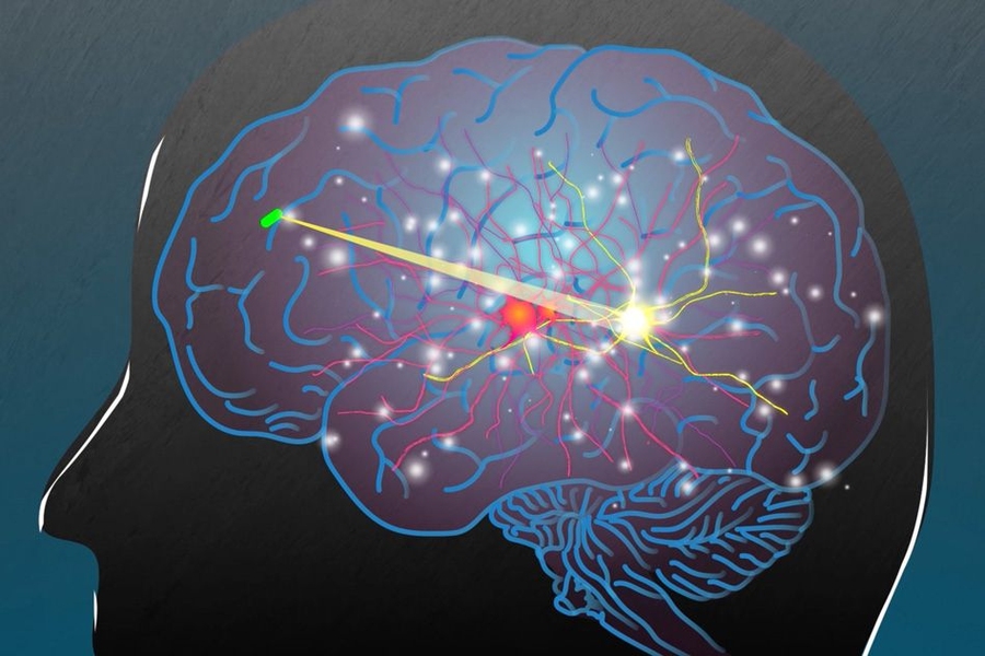 What is the Charge of Human Body?