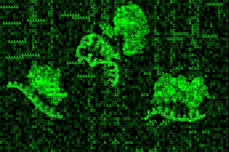Researchers have taken an in-depth look at RNA-protein interactions, determining the sequence, structure, and context preferences of RNA-binding proteins in a high throughput manner.