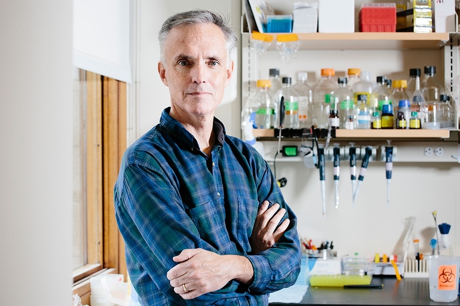 “Our vision is these kits will serve as a creative outlet for young individuals, and show them that biology can be a design platform,” says James Collins, the Termeer Professor of Medical Engineering and Science in MIT’s Institute for Medical Engineering and Science (IMES) and Department of Biological Engineering
