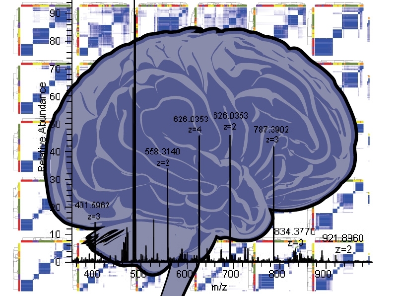 It's often unclear how to turn molecular knowledge into new therapeutics, especially for cancers with no clear genetic cause like medulloblastoma.