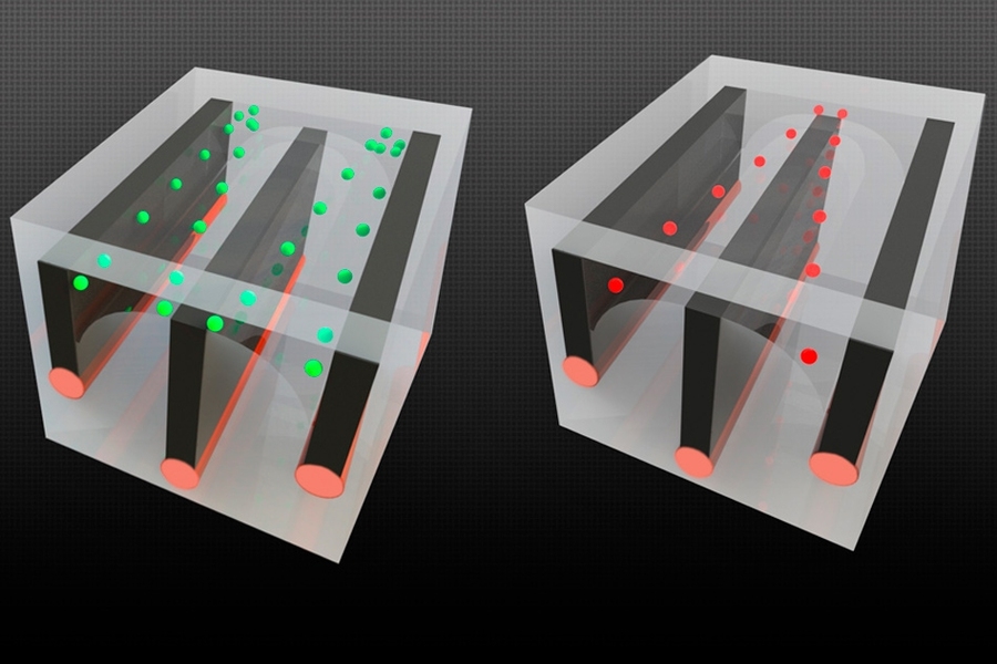 By integrating conductive wires along with microfluidic channels in long fibers, the researchers were able to demonstrate the ability to sort cells — in this case, separating living cells from dead ones, because the cells respond differently to an electric field. The live cells, shown in green, are pulled toward the outside edge of the channels, while the dead cells (red) are pulled toward the c...