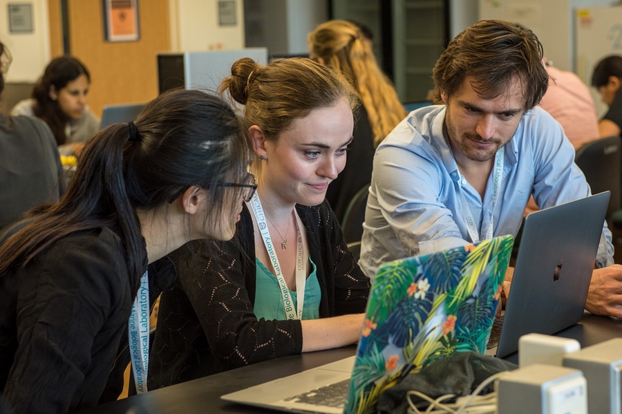 Students from many universities collaborate on intelligence problems at the Center for Brains, Minds and Machines summer course in August 2018.