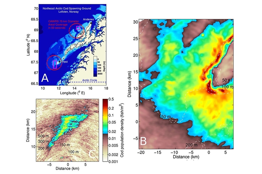Spatial population distributions of entire Atlantic cod spawning groups of the Northeast Arctic obtained by instantaneous imaging. Top left image shows, in red circles, areas where researchers imaged spawning grounds of Atlantic cod in Lofoten, Norway. Right image depicts a 40-kilometer-wide stable cod group containing about 40 million individuals. Bottom left image shows a 20-kilometer-scale cod ...