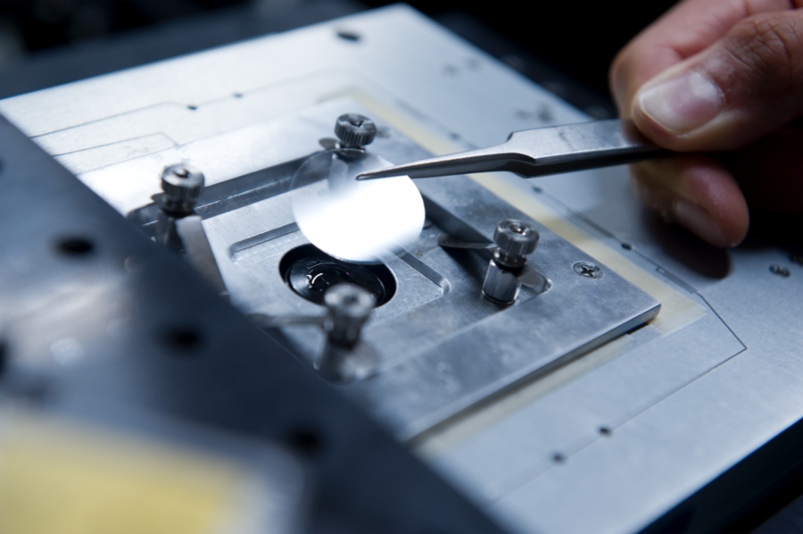 This specially designed microscope is capable of detecting fluorescence from single LHCSR proteins attached to a glass coverslip.