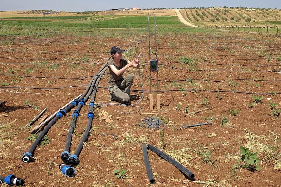 At a treated wastewater irrigation site in Jordan, Julia Sokol installs a data logger and sensors to record pressure and flow data in irrigation pipes.