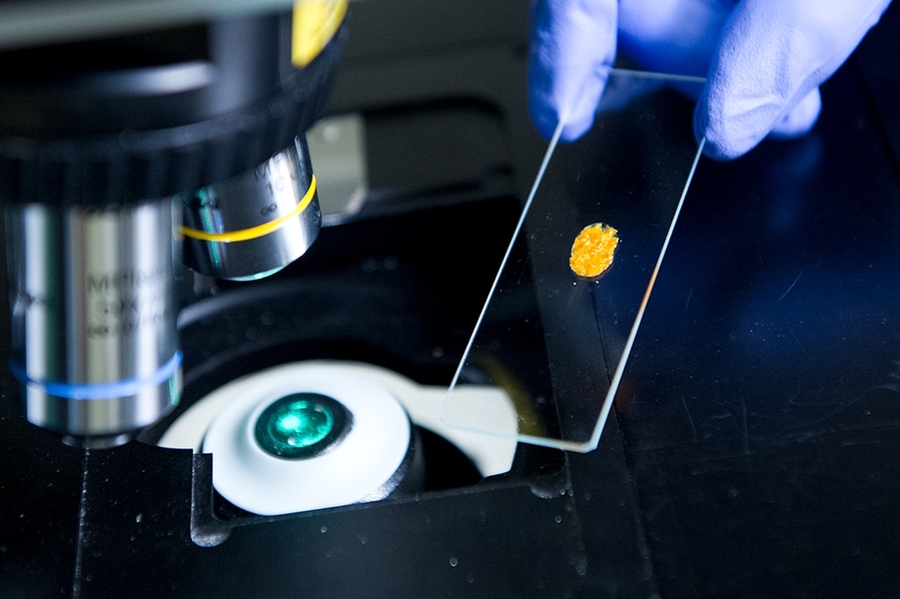 Using this instrument, the researchers shine a laser on their photoswitching molecules and then perform photoluminescence and Raman spectroscopy studies to gather information on the molecules’ electronic structure and chemical bonding.