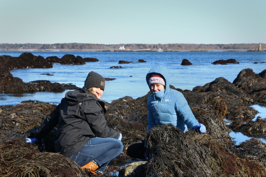 Exploring New England's coastal ecosystems in the dead of winter