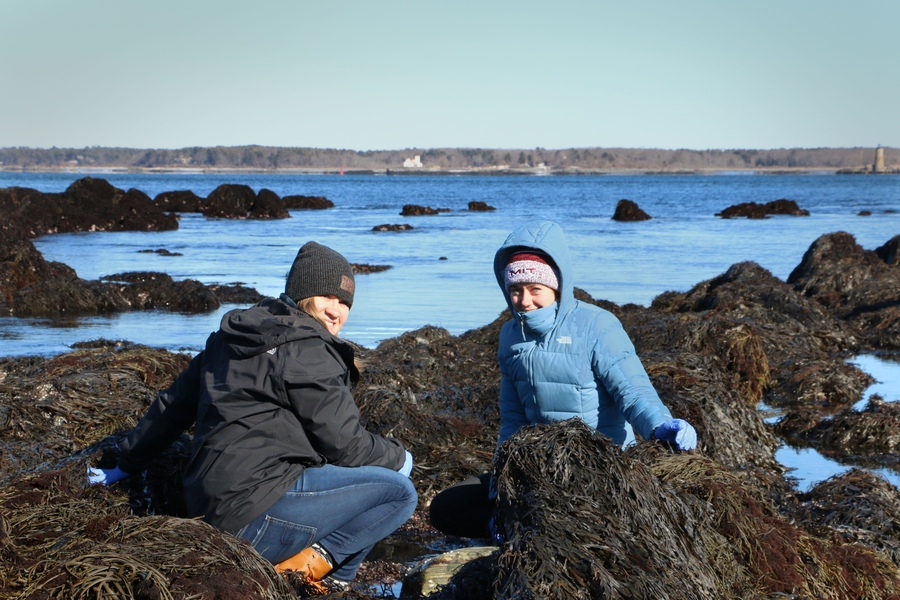 Valerie Muldoon (left), a third-year mechanical engineering student, and biological engineering student Jenna Melanson explore a coastal ecosystem during a field trip to Odiorne Point State Park in New Hampshire.