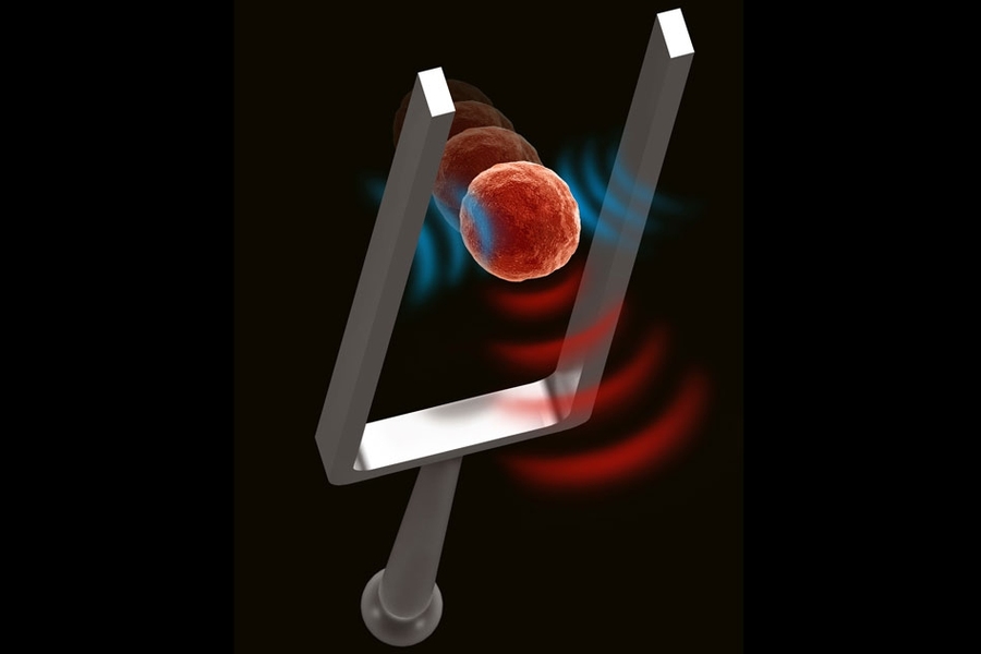 MIT researchers have come up with a way to use acoustic waves to noninvasively measure the stiffness of living cells.