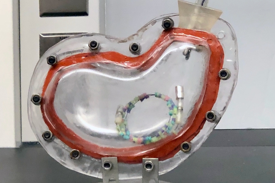 A representative prototype of a gastric resident device researchers have placed in an in vitro stomach model for testing.