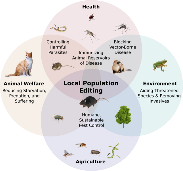 By editing local populations of wild organisms, daisy drives could benefit human health, help save endangered species, replace toxic chemicals used in agriculture, and greatly reduce animal suffering. Keeping the effects localized could enable safe field trials and allow each community to make decisions about their own shared environment, avoiding international disputes.