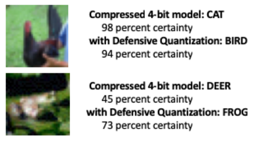 When a few pixels were manipulated in the above images to simulate an adversarial attack, a standard compressed model misclassified the chicken as “cat” and the frog as “deer.” But when researchers added a constraint during compression, the model correctly classified the animals, even performing better than a full precision 32-bit model.