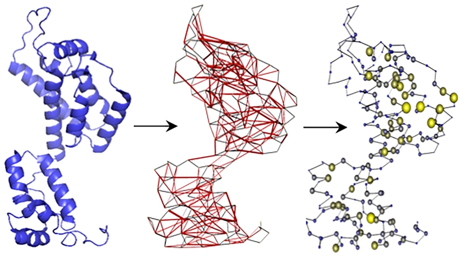 Structure-based network analysis transforms HIV proteins into networks used to identify T cell targets resistant to mutation.