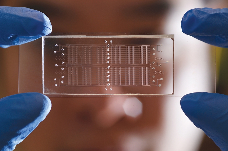 PERSIA could be used in microfluidic devices such as this one, which can perform 96 parallel biochemical reactions with volumes 1,000 times smaller than those required by conventional well plates.
