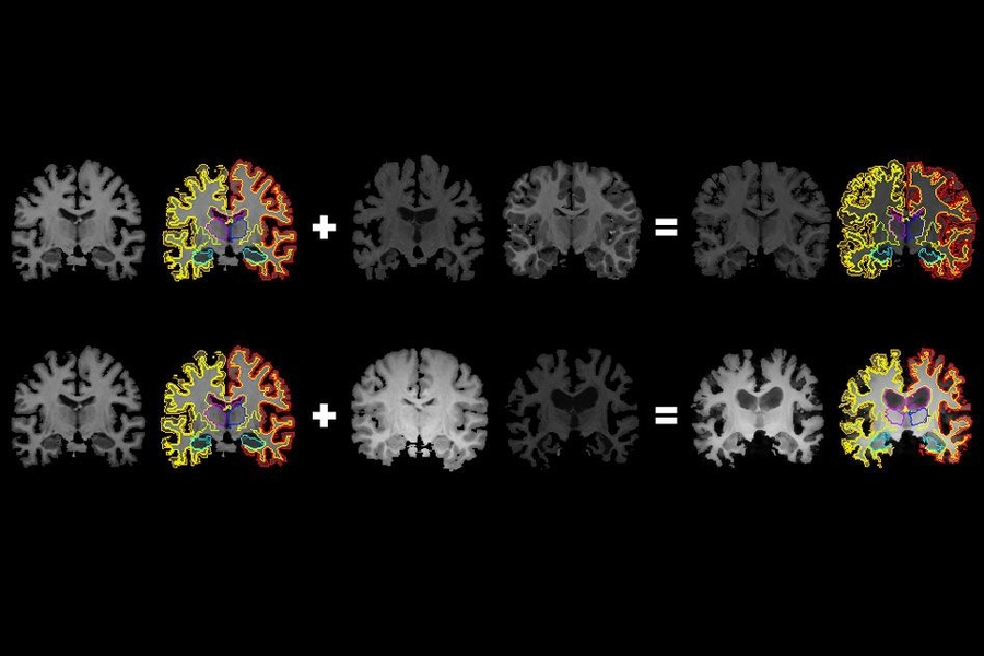 mit news machine learning