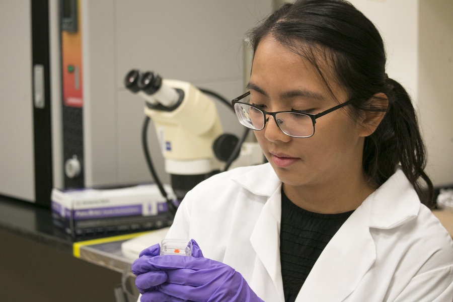 Wendy Moy, a physical science teacher at Diamond Middle School in Lexington, Massachusetts, holds a crystal sample she made this summer in the lab of Riccardo Comin, assistant professor of physics. Comin’s lab studies superconductors as well as more traditional insulating and metallic semiconductor materials.