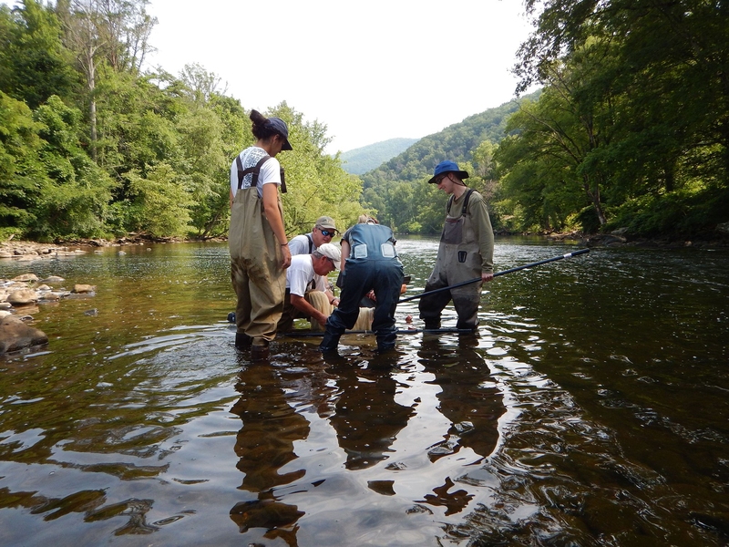 Sampling fish to learn about their response to riverine evolution in the Pigeon River, graduate student Maya Stokes (left) and her research advisor, Taylor Perron (right), are accompanied by biologists from the Tennessee Valley Authority.