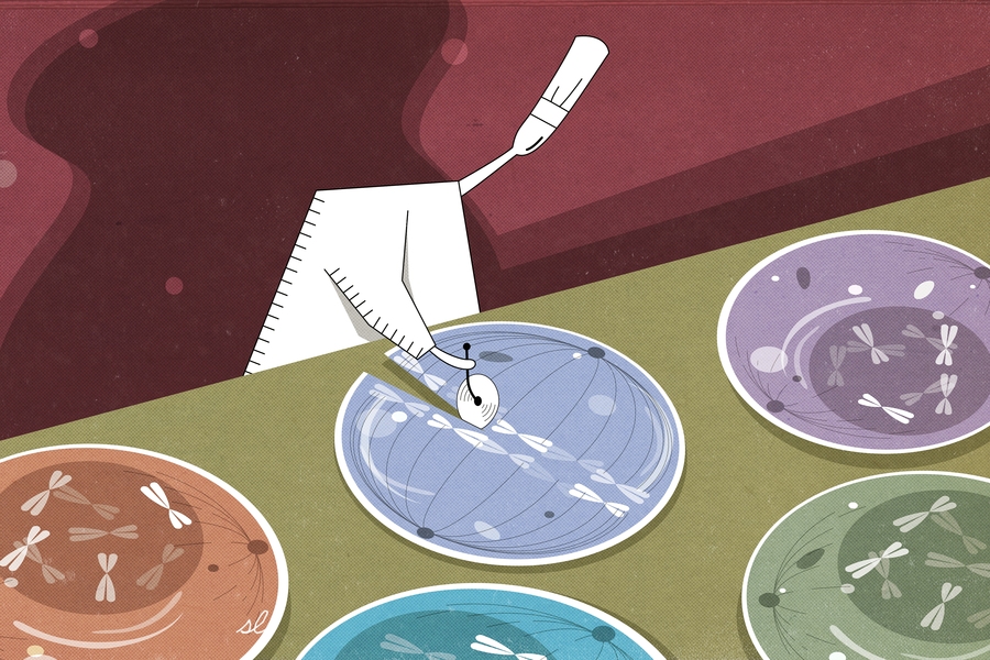 Illustration of scientist cutting a cell in half with a pizza cutter