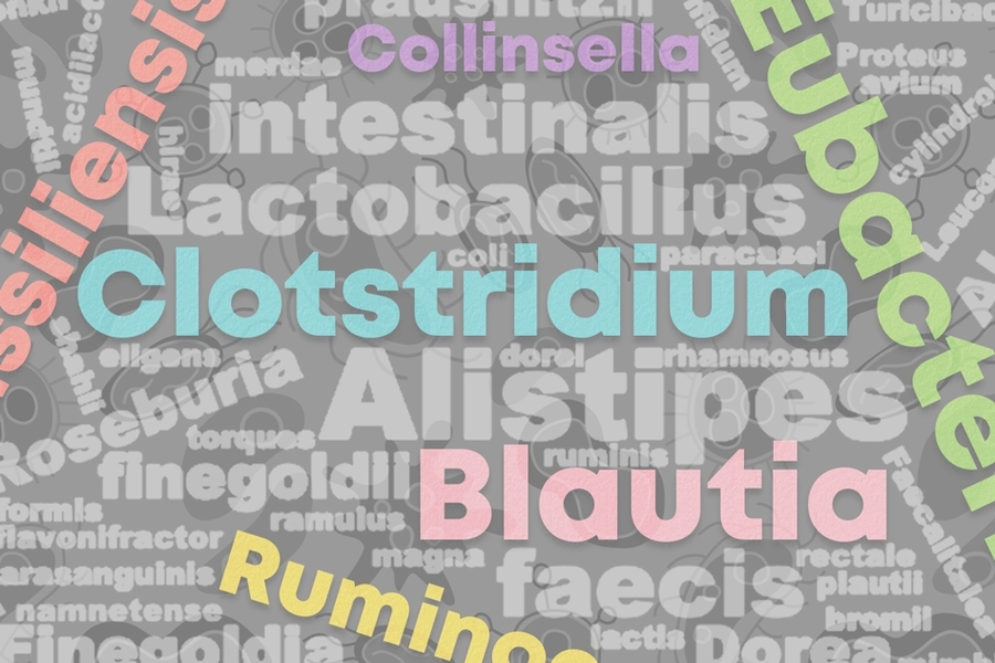 MIT researchers have collected and preserved samples of nearly 8,000 strains of bacteria found in the human digestive tract.