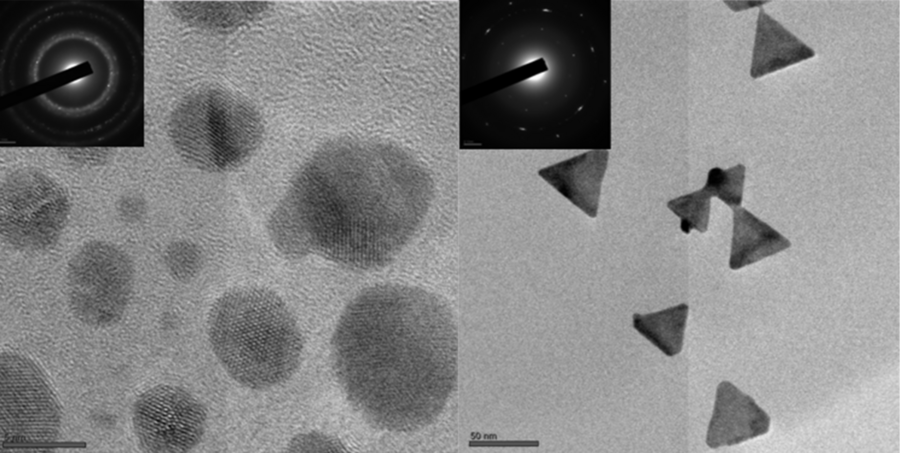 When gold is deposited on “dirty” graphene (left), blobs of gold collect around impurities. But when gold grows on graphene that has been heated and cleansed of impurities (right), it forms perfect triangles of gold.