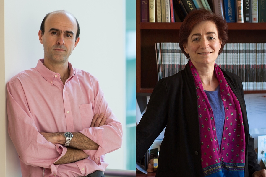 Mehrdad Jazayeri and Hazel Sive awarded 2019 School of Science teaching ...