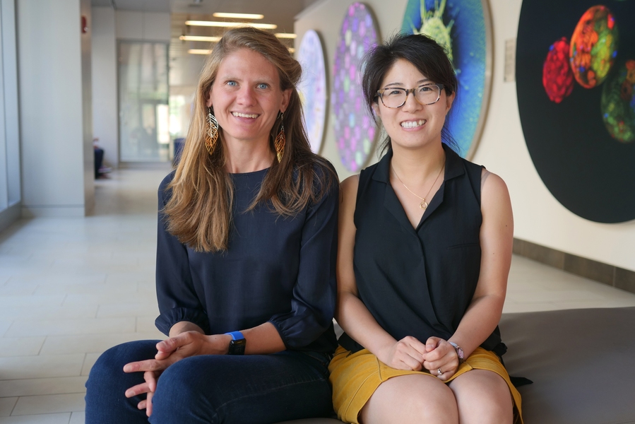 Seychelle Vos (left) and Pulin Li recently joined the Department of Biology as assistant professors.