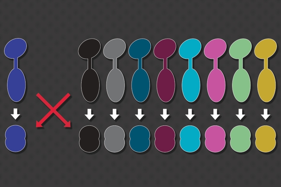 MIT researchers have found a way to generate many pairs of signaling proteins that don’t cross-talk with each other or with naturally occurring signaling proteins found in bacterial cells.