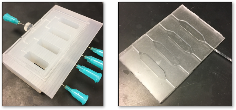 The artificial gut includes two integrated components that work together to emulate the natural oxygen and mucosal gradients in the human gut.